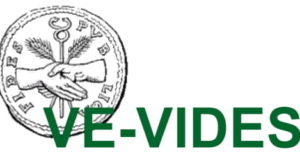 VE-VIDES, nuevo proyecto de investigación electrónica